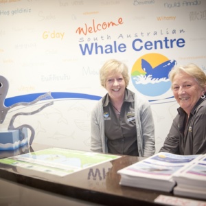 Whale Centre 076 (medium)