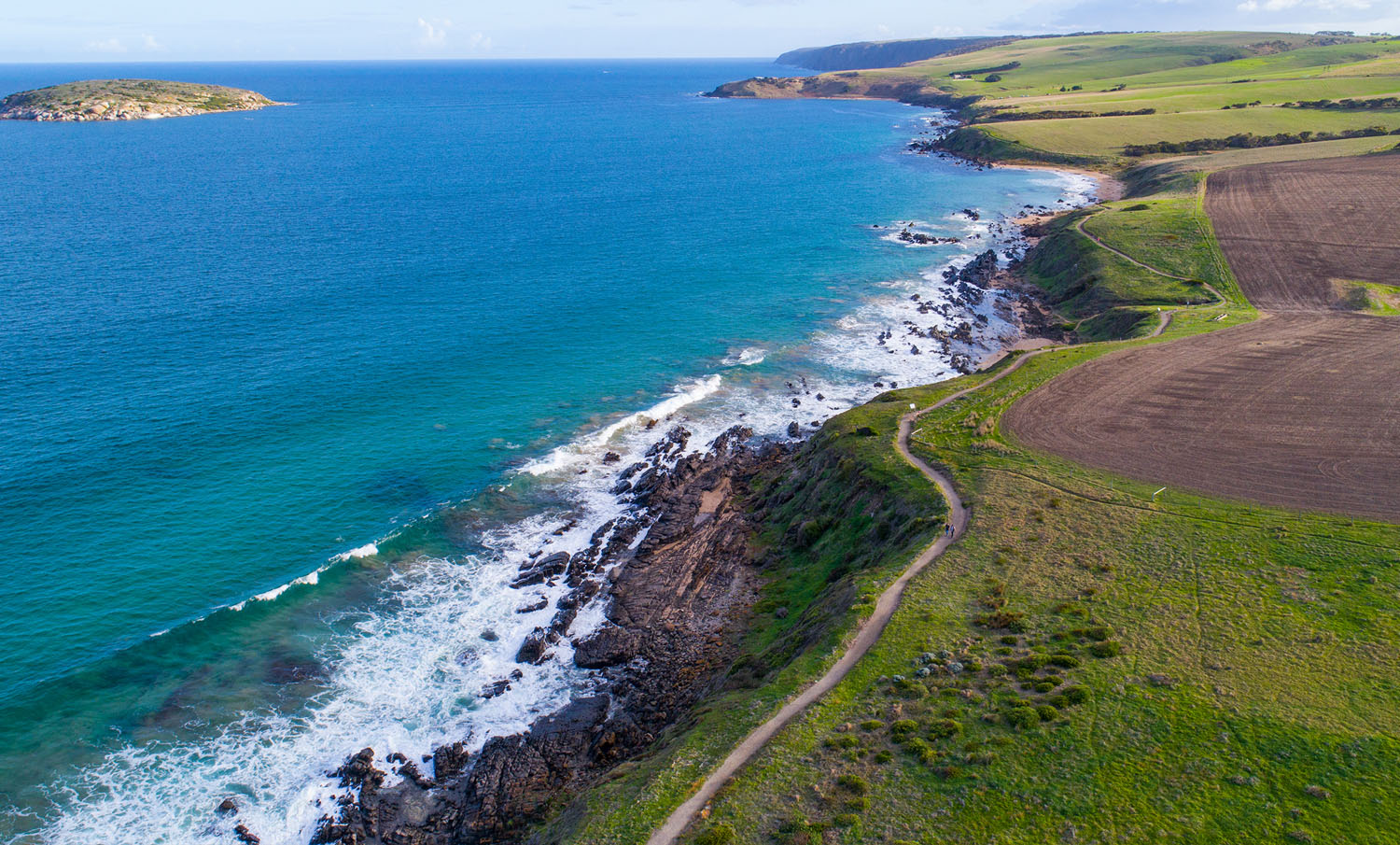 Petrel Cove By Jesse Ehlers