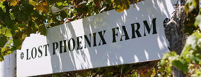 Lost Phoenix Farm Itinerary