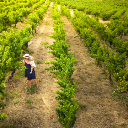 Nurturing Mother And Child Walking Through The Vineyard. Mclaren Vale Vineyards Grapevines And Wineries In South Australia Fleurieu Peninsula.