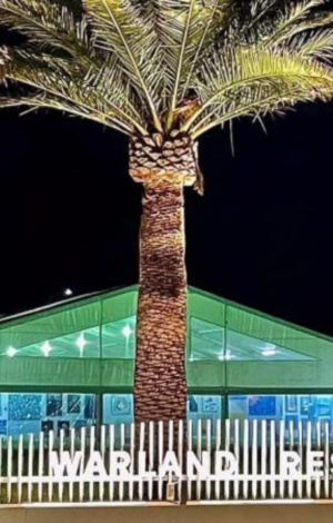 Victor Harbor Art Show (1)