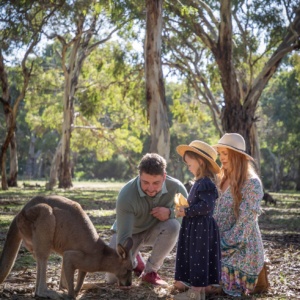 Kangaroo and family Urimbirra