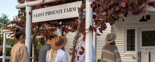 Lost Phoenix Farm