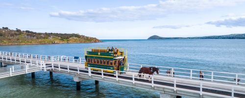 Victor Harbor Horse Drawn Tram