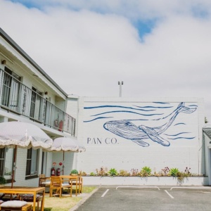 Pan Co Whale mural