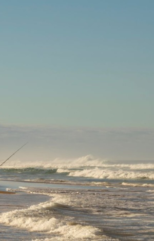 South Coast Fishing Comp