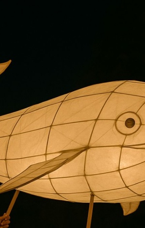 Kondoli Lantern