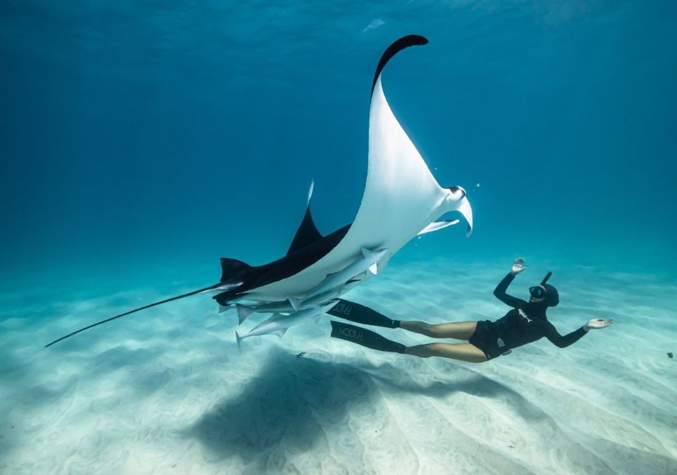 Ocean Film Festival