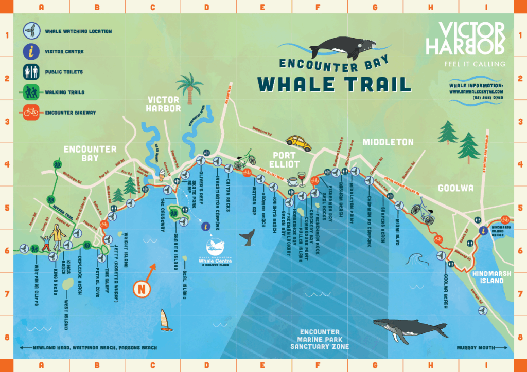 Whale Brochure Map 2025