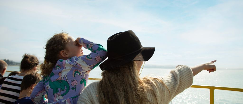 Whale Watching From The Horse Tram