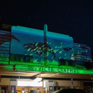 14 Victa Cinema Digital Art Projection