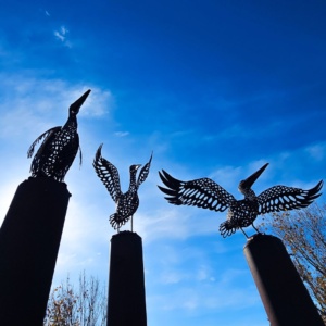 17 Metal Pelicans