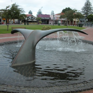 19 Whale Tail Fountain