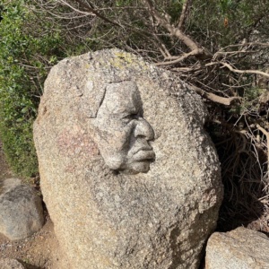 26 Face Of Uncle Henry
