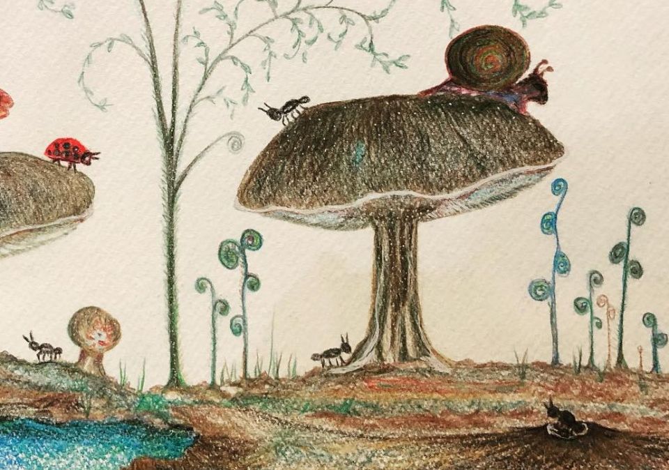 Sala Tabitha Mcgorm Natures Garden Drawing