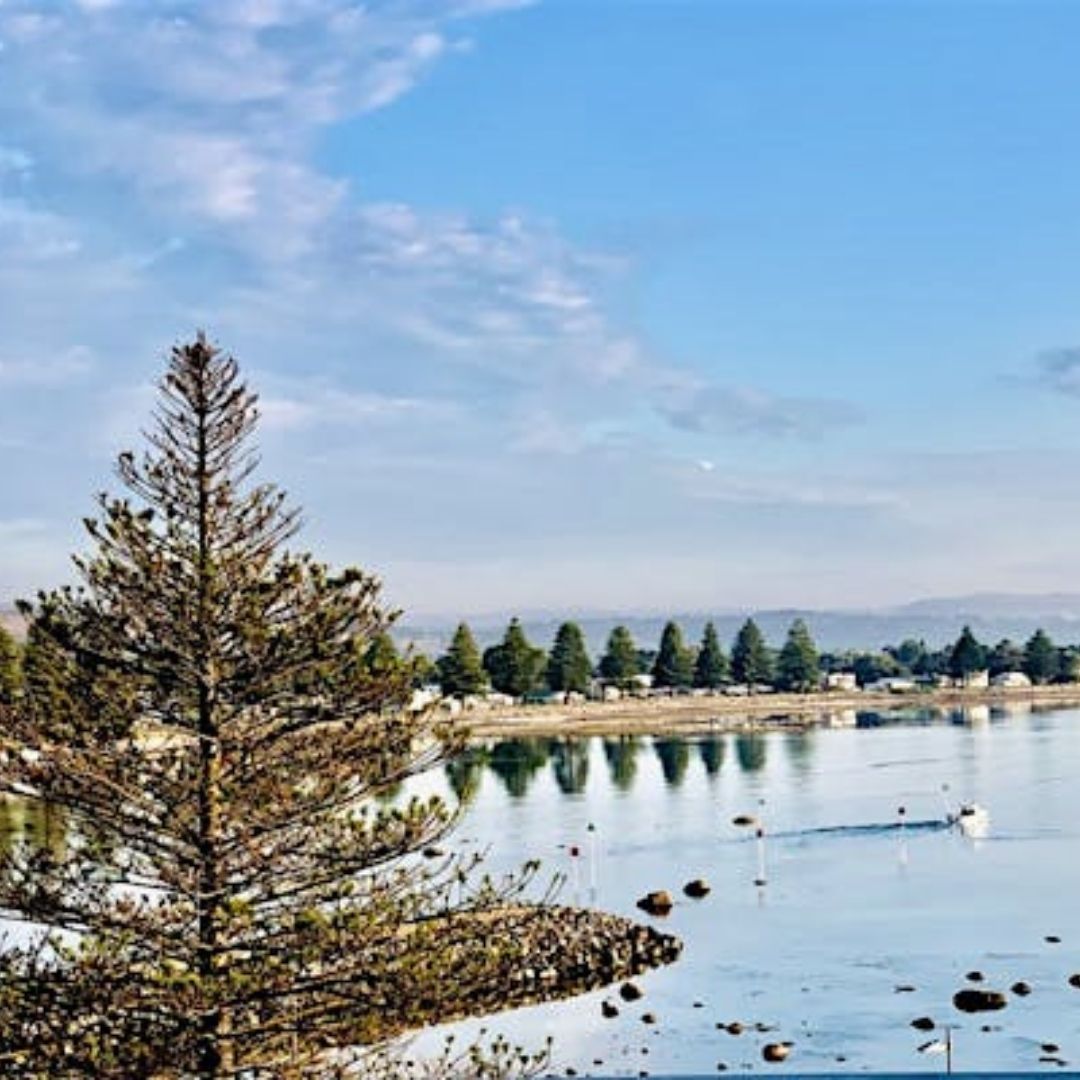 The Bluff Resort