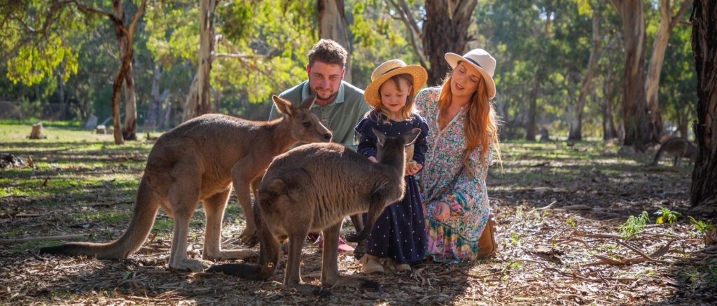 Victor Harbor Urimbirra Kangaroos And Family