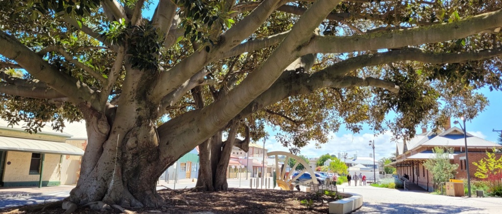 Victor Harbor Walking Tours On Railway Plaza
