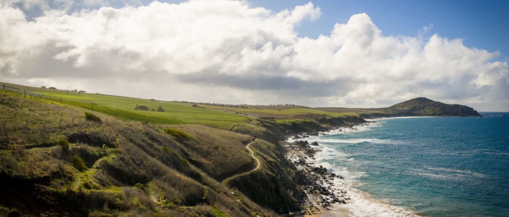 Wild South Coast Way