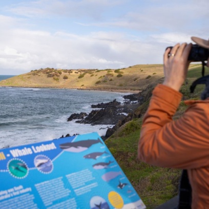 Wildlife Watching In Victor Harbor