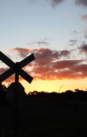 Steamrangers New Years Express