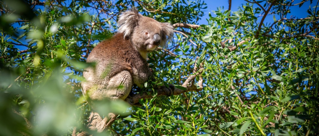 Urimbirra Wildlife Park