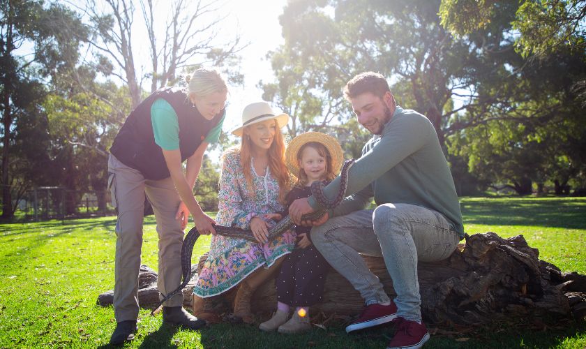 Urimbirra Wildlife Park Reptiles