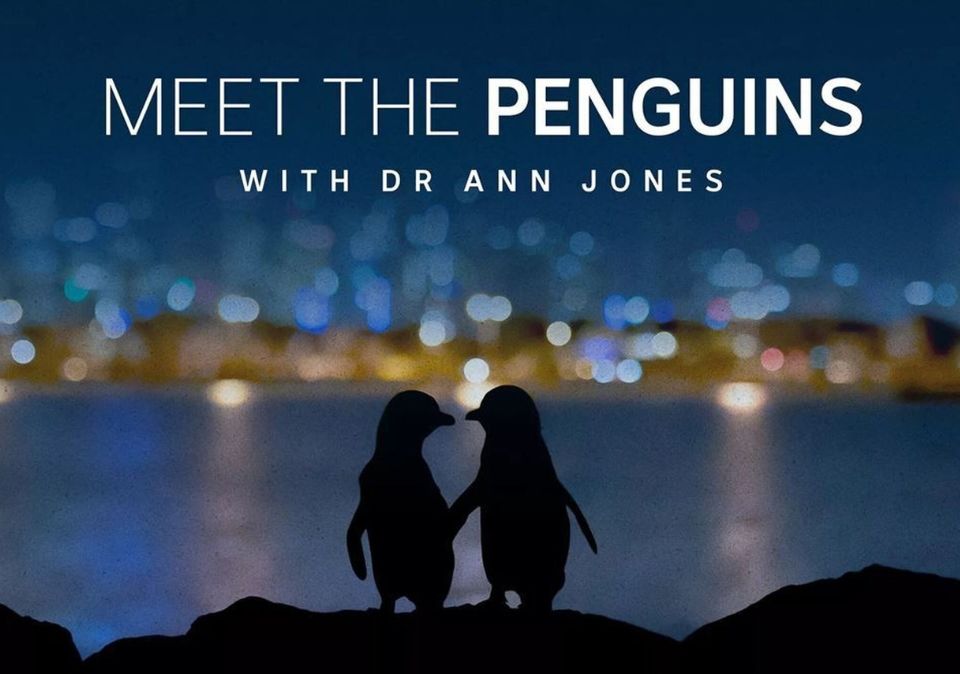 Meet The Penguins