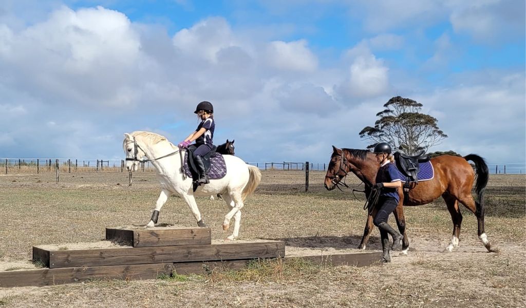Unicorn Horse And Dog Playground