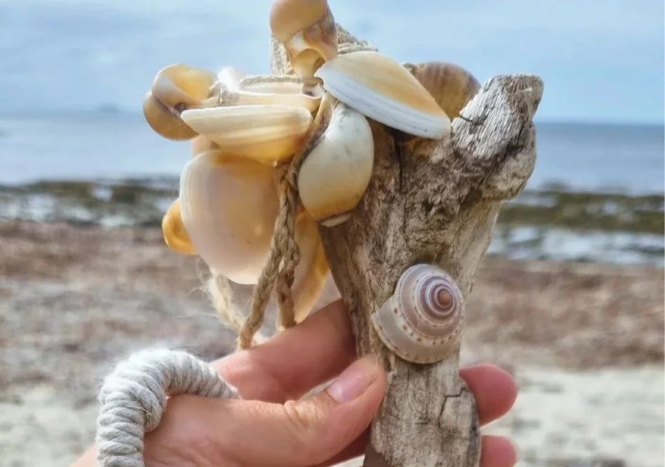 Shell Rattle Website