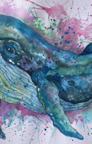 Water Colour Whales Website