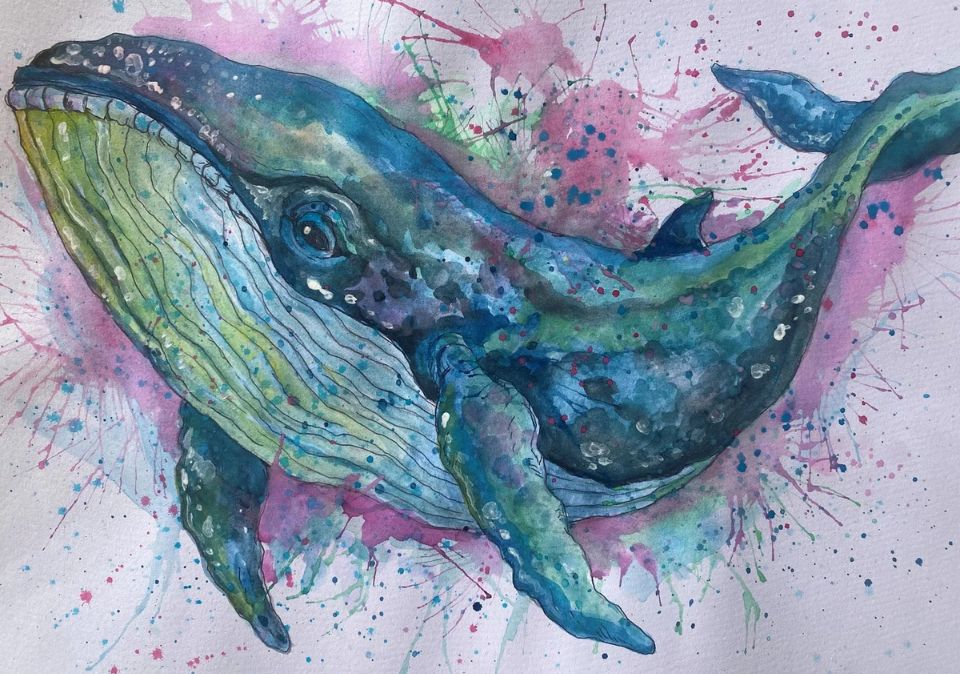 Water Colour Whales Website