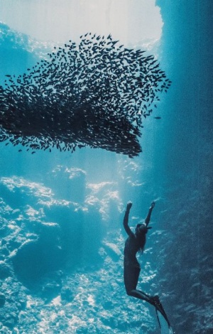 Water People Exhibition Website