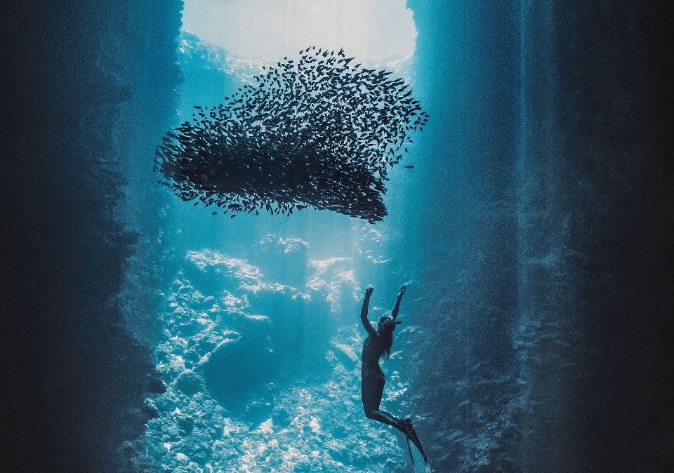 Water People Exhibition Website
