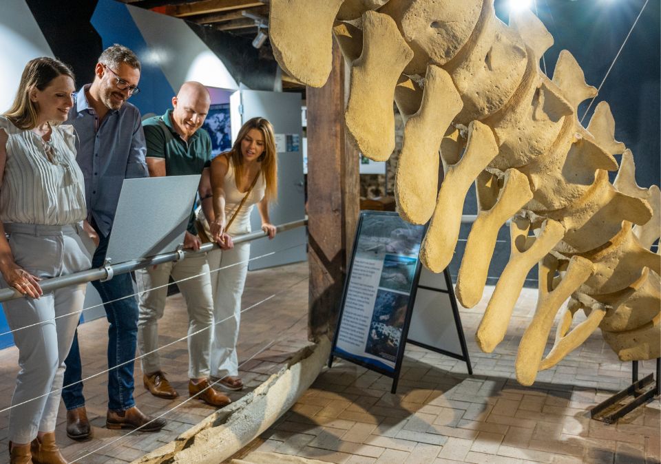 Guided tours of the SA Whale Centre