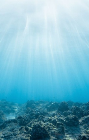Rhythms Of The Sea – Dance & Meditation Visit Victor