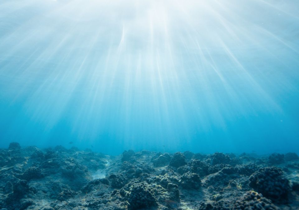Rhythms Of The Sea – Dance & Meditation Visit Victor