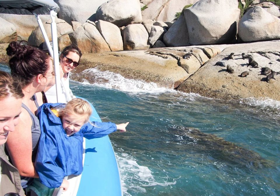 Southern Ocean Adventure