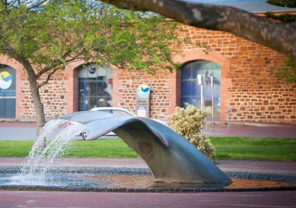 Walking Tour: Whale Walk and Talk