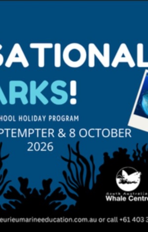 Fleurieu Marine Education School Holiday Program (1)