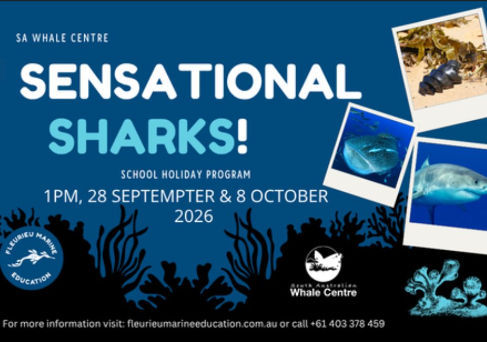 Fleurieu Marine Education School Holiday Program (1)