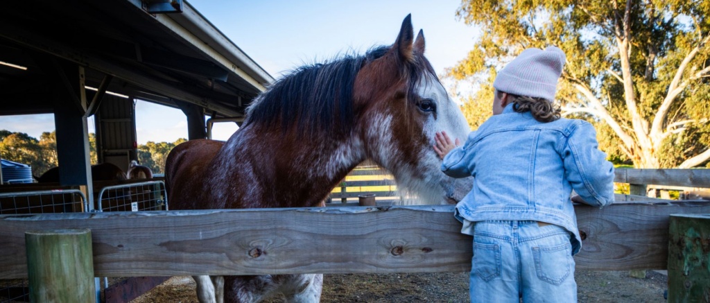 The Stables South Australian School Holidays