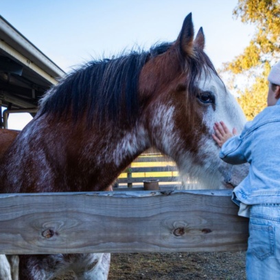 The Stables South Australian School Holidays