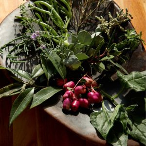 Softfoot Swagman Country Dining Native Food