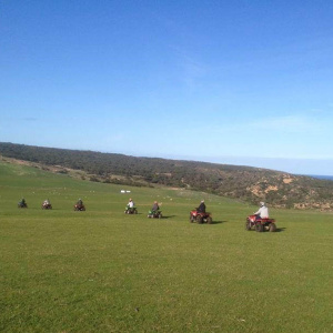 Waitpinga Quad3 E1591947041876